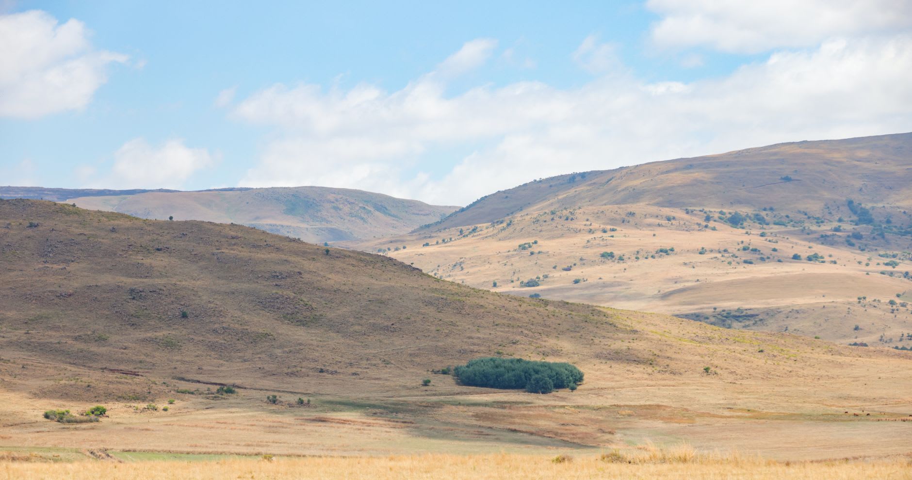 A Basotho herder wrapped in a traditional blanket crossing the high grassland of the Bokong plateau