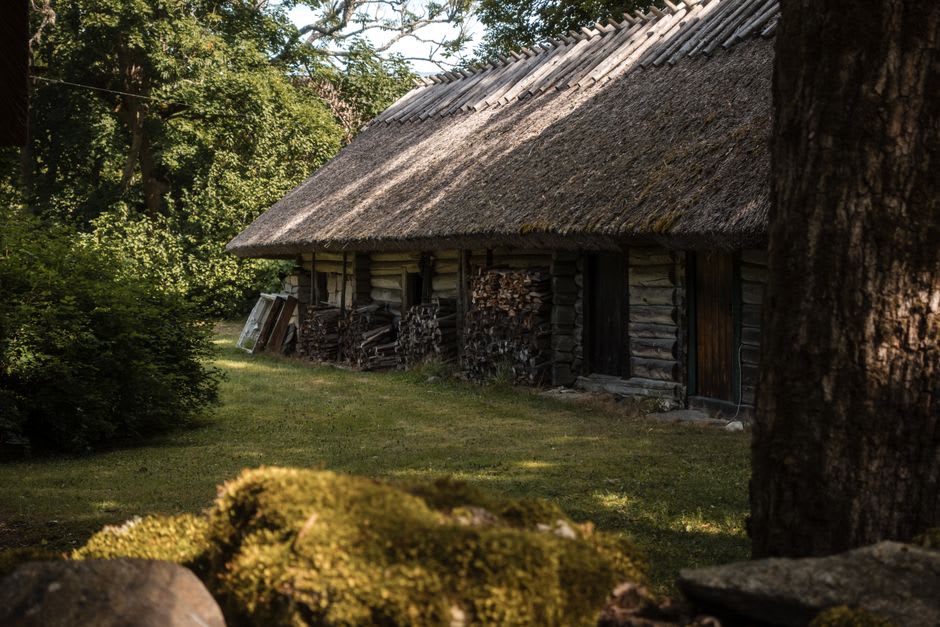 Traditional wooden farmhouse with a thatched roof at Rumšiškės Open Air Museum