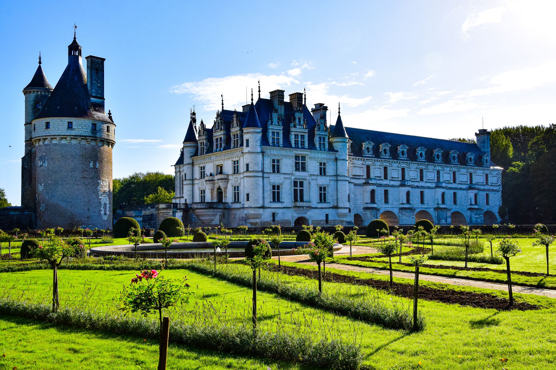 The kitchen garden parterres of Villandry from the terrace level, showing geometric beds of purple and green cabbages in their characteristic Renaissance pattern