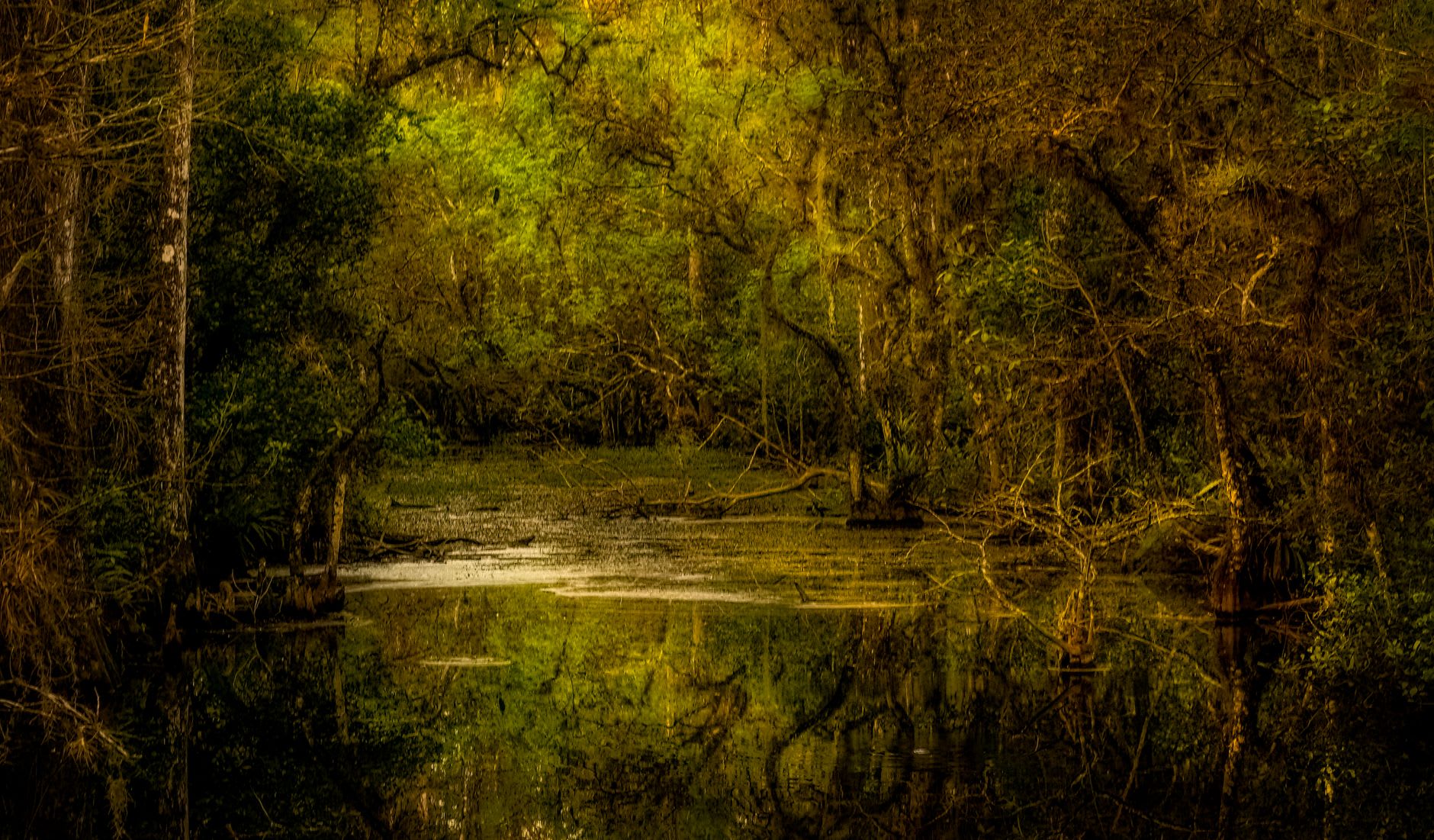 A pirogue tied to a cypress tree on the still, dark surface of Bayou Teche at late afternoon