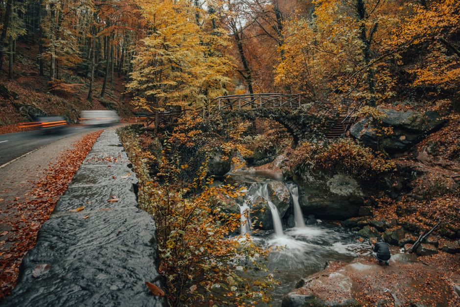 Narrow forest ravine along the Mullerthal Trail near Berdorf