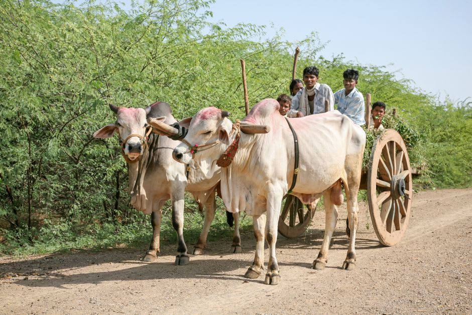 A wooden zebu cart loaded with goods rolling down a wide, sun-baked street in central Toliara