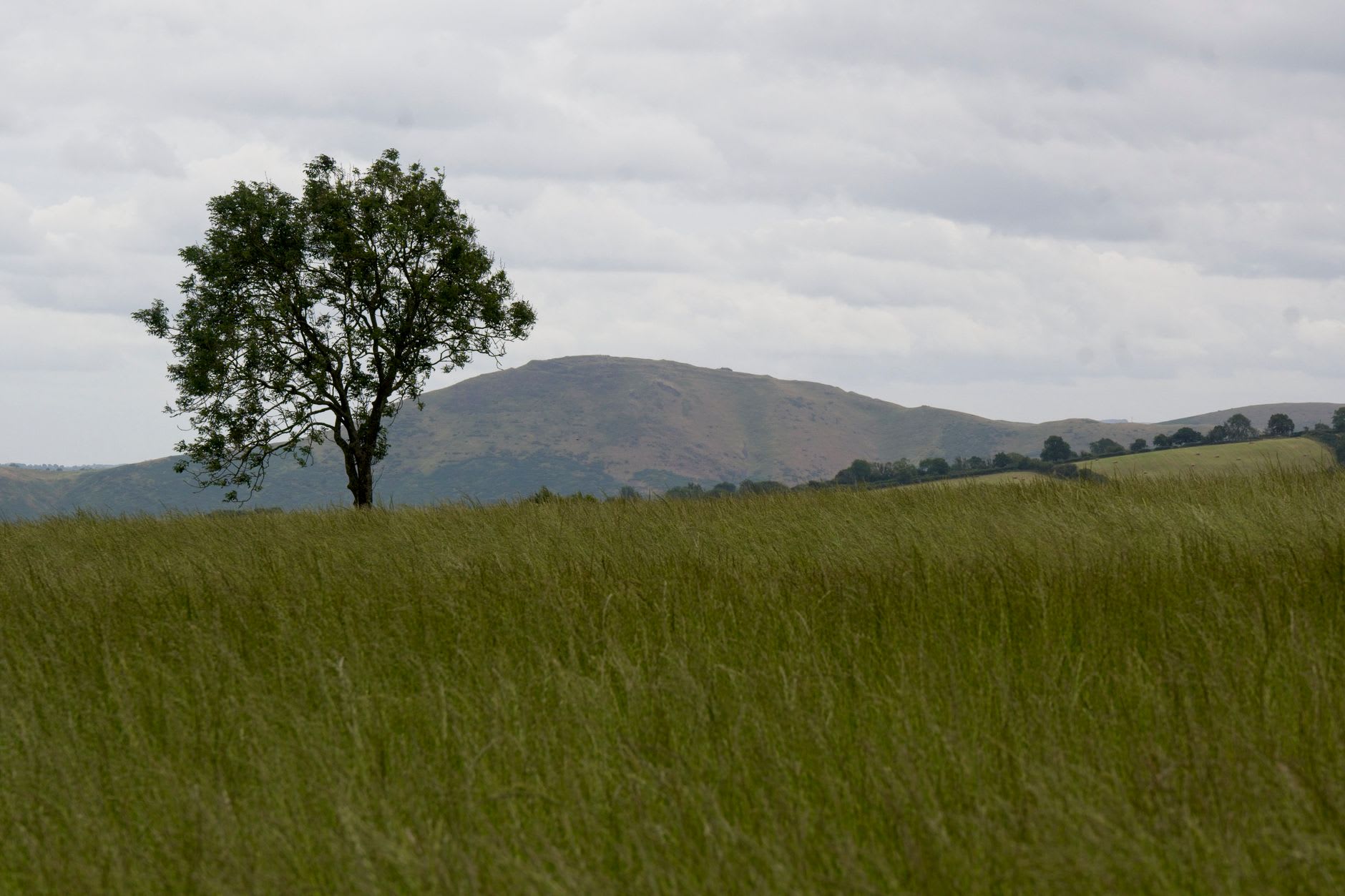 Mist burning off the green valleys of the Nyika plateau at dawn