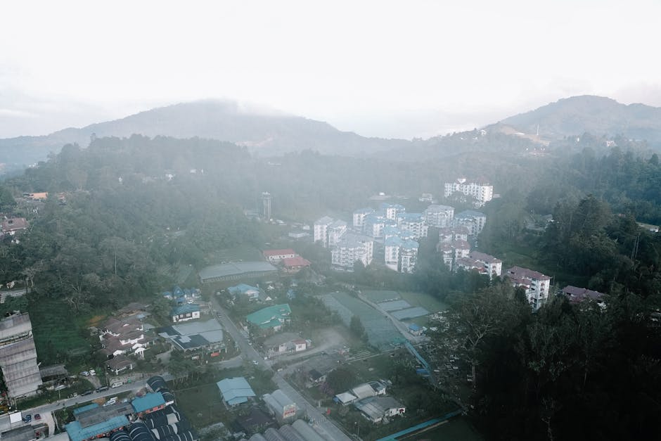 Mist rolling through the forested hills of the Cameron Highlands at dawn