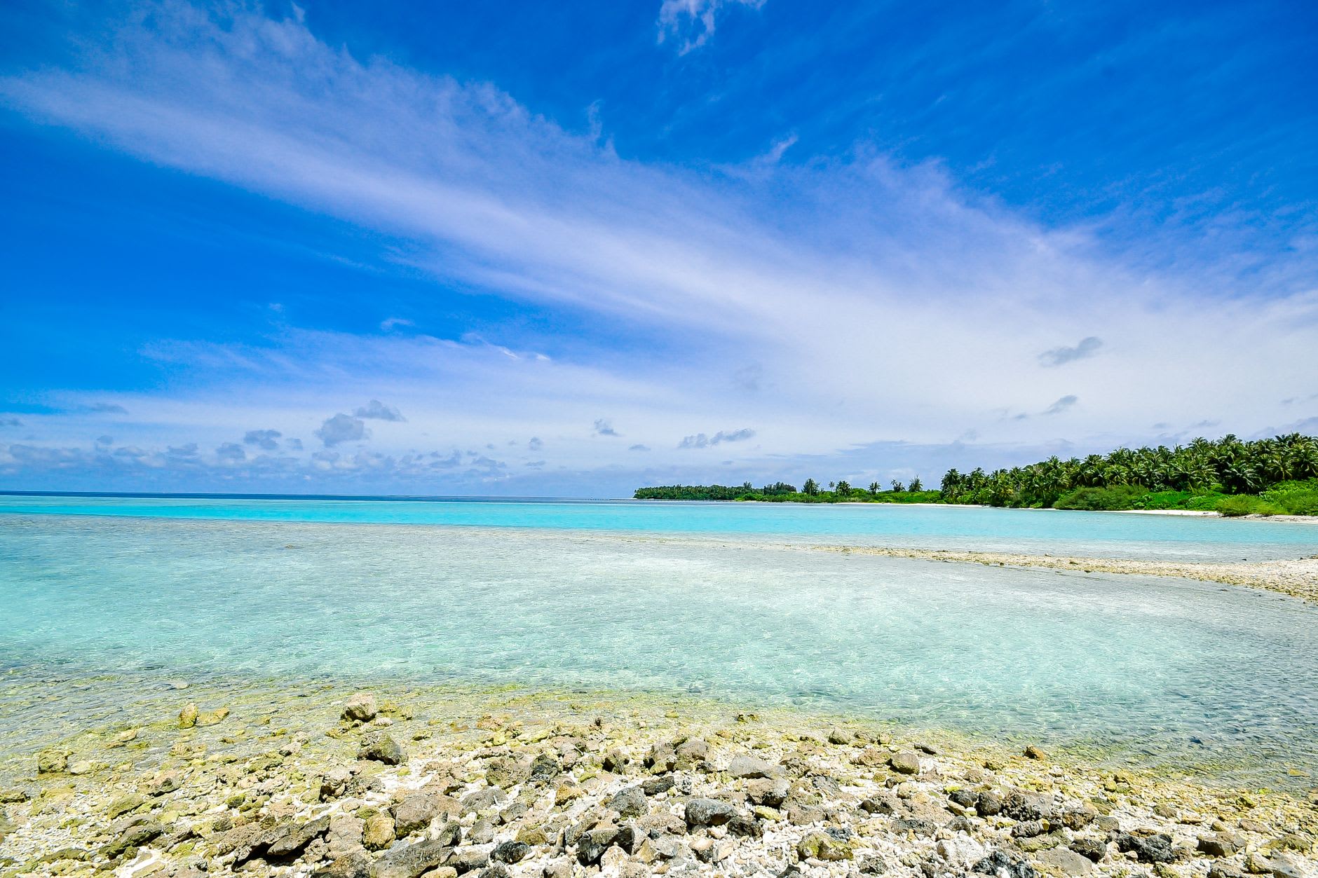 The Mili Atoll airstrip bordered by low pandanus scrub, the plane that brought me visible at one end, the lagoon glinting beyond the treeline