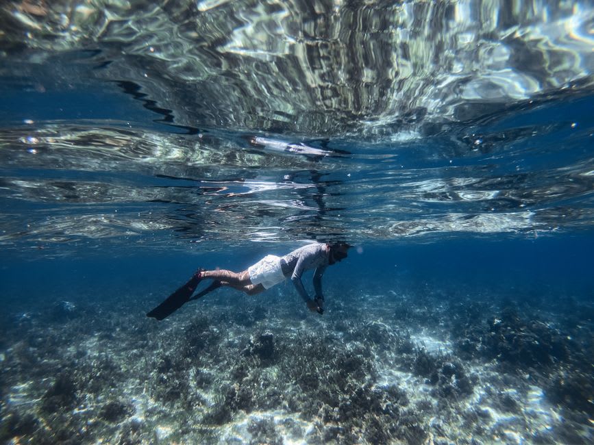 Un pêcheur local plongeant en apnée le long d'un tombant corallien limpide à l'intérieur du lagon de Wotho