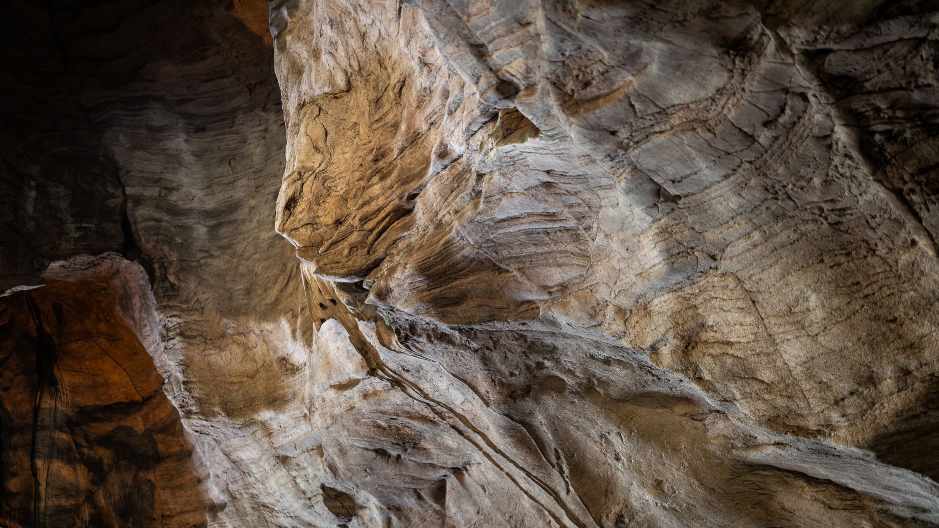 Rows of Buddha statues of varying sizes filling the shelves and floor of Tham Ting cave at Pak Ou