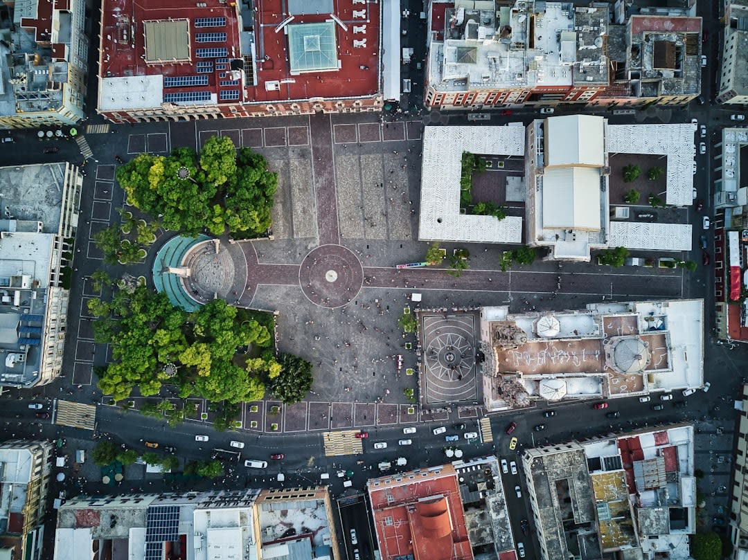 The main plaza of Aguascalientes with the baroque cathedral towers behind a canopy of jacaranda trees, a vendor cart in the lower frame