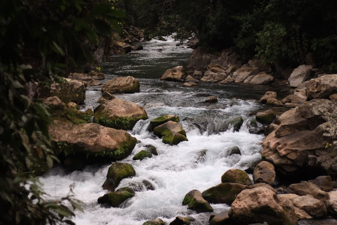 The Cascada de Axtla falling into its green pool, framed by tropical vegetation on both sides