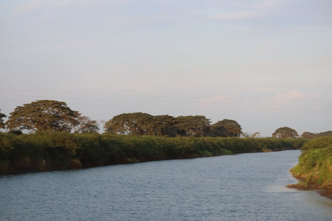 Stromatolite formations visible beneath clear shallow water in the Canal de los Piratas at Bacalar