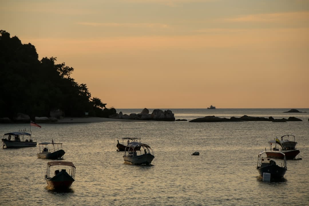 The Cabo Pulmo village beach at sunset, the fishing boats and dive boats pulled up on the sand, the palapa-roofed buildings behind, the Sea of Cortez turning orange in the evening light, the Baja desert hills behind the village