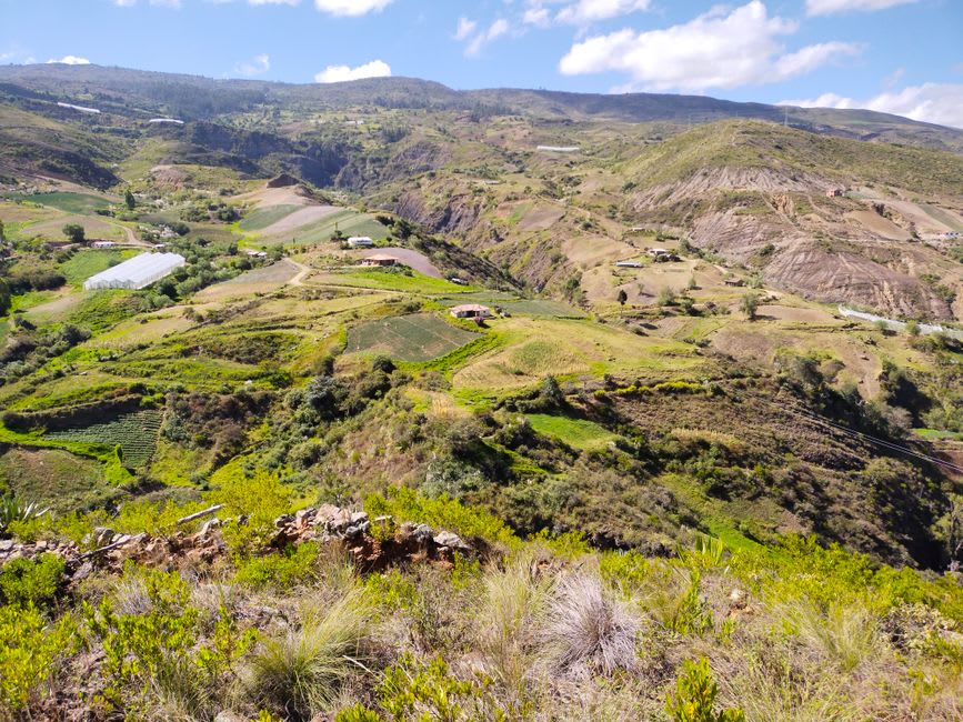Apple orchards stretching across the Valle del Guadiana with the Durango sierra in the background
