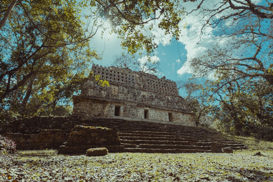 Misty jungle surrounding ancient Maya ruins in Chiapas