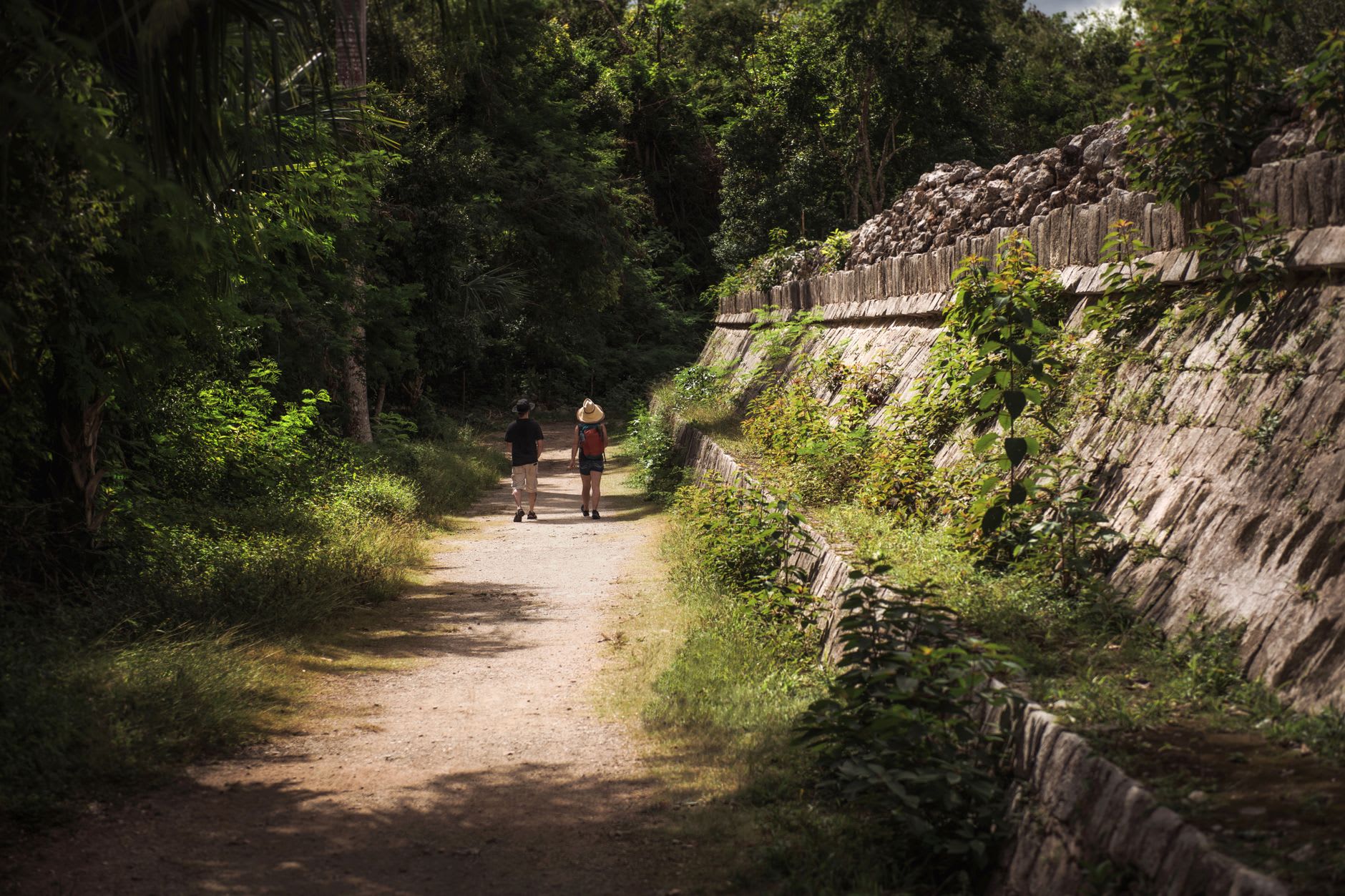 The sacbé road through the Cobá jungle, the raised limestone causeway visible as a pale path between the trees, dappled jungle light, the archaeological structures of the Cobá Group visible ahead through the forest