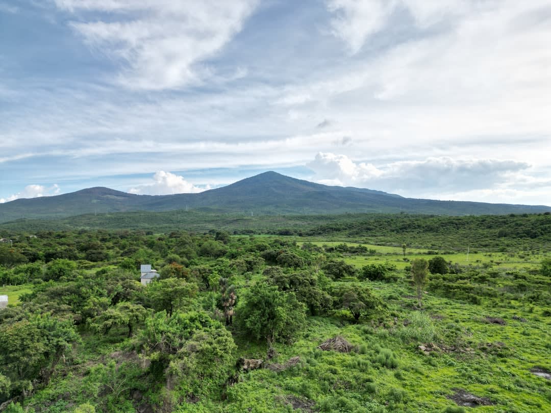 A quiet country road winding through the green hills between Contepec and the neighboring towns, oyamel-forested slopes of eastern Michoacán rising in the soft afternoon light
