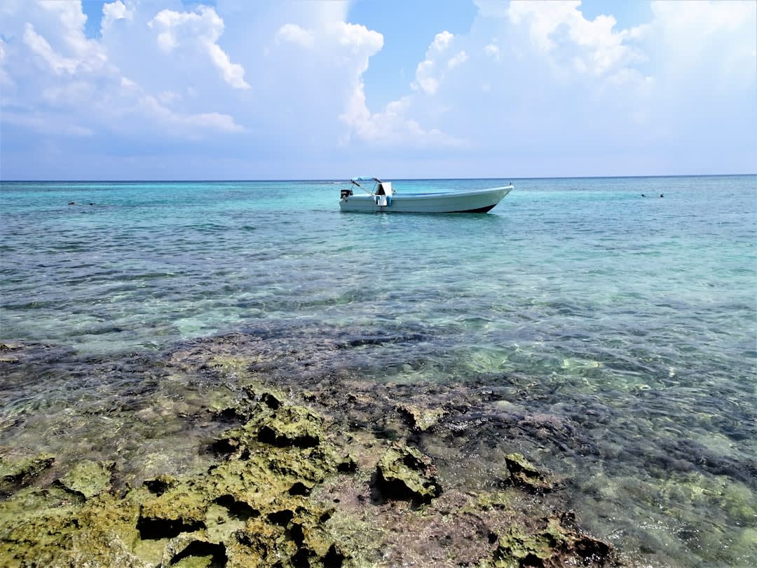 A diver hovering above the Palancar coral reef in Cozumel, the wall dropping into the deep blue below, eagle rays and sea turtles visible in the clear Caribbean water, the coral formations in vivid color