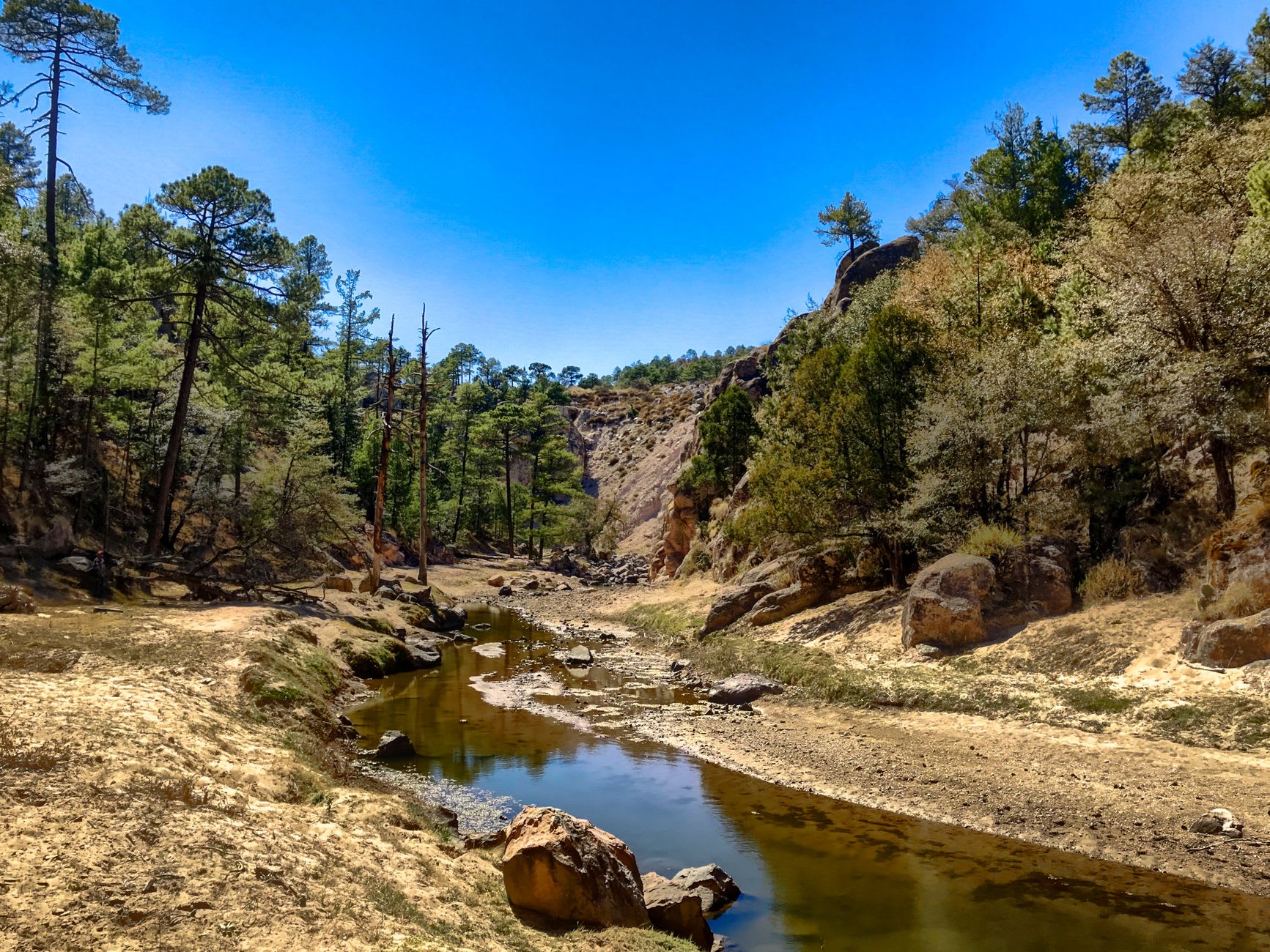 The Quebradas canyon country south of Durango, the red sandstone formations and pine forest of the Sierra Madre dropping into a subtropical gorge, the landscape that Hollywood producers used as a stand-in for the American Southwest