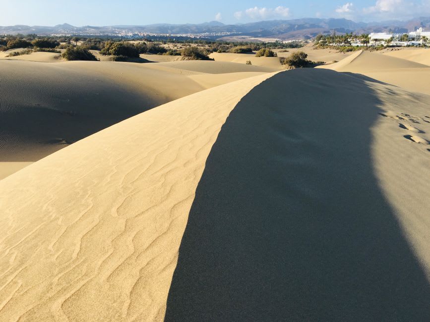 Wind-sculpted white sand dunes of the Gran Desierto de Altar, late afternoon light casting shadows across the dune faces with blue sky above