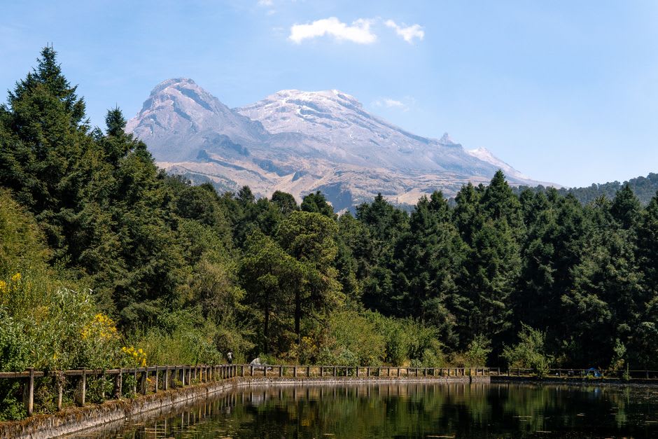 Wide view of the El Vergel highland landscape with oak and pine under a clear blue sky