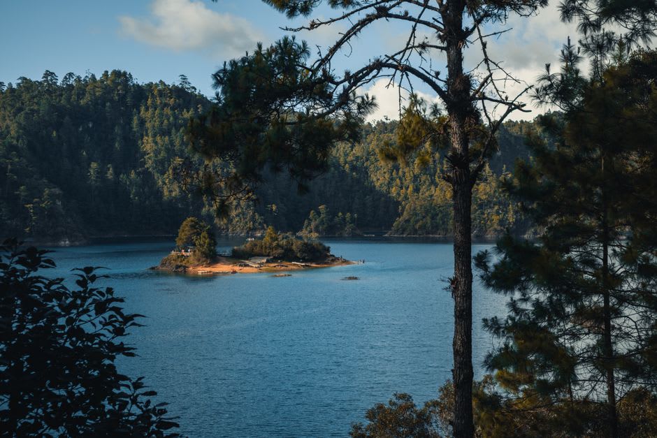 Laguna Quila seen through pine trees on a still October morning, its grey-green surface reflecting the surrounding forest