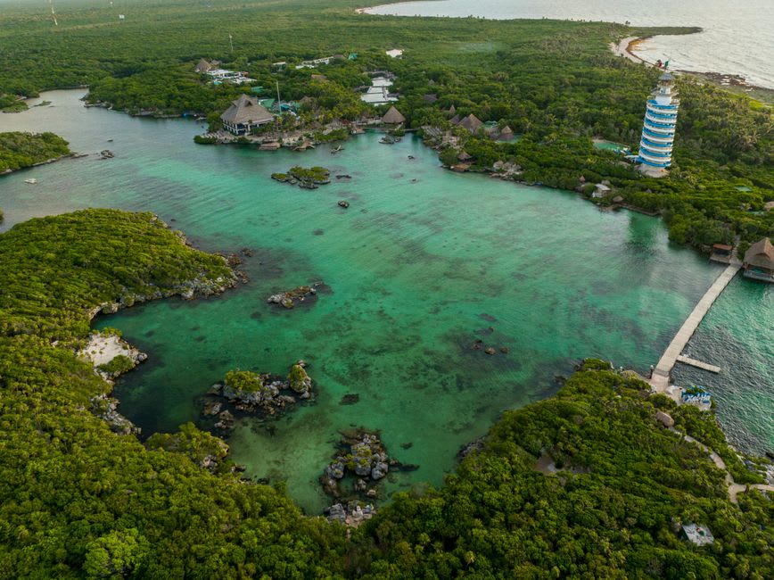 Clear shallow water along the northern shore of Isla Contoy, with the mangrove treeline behind