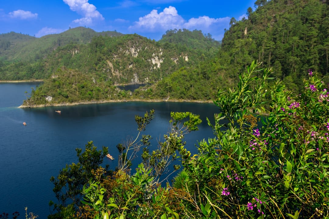 The connected basins of the Cinco Lagunas at Lagos de Montebello, the water shifting from turquoise to emerald green across the different depth zones, pine forest reflecting in the still surface, morning light