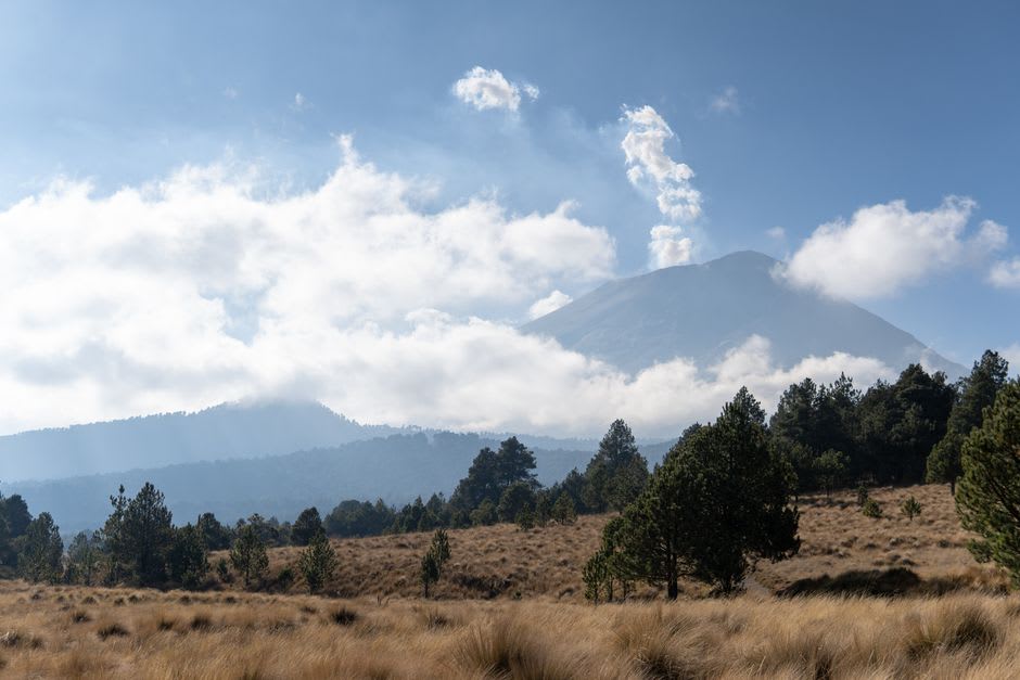 Golden windswept plains running out to distant pale volcanoes on the horizon near Libres, Puebla