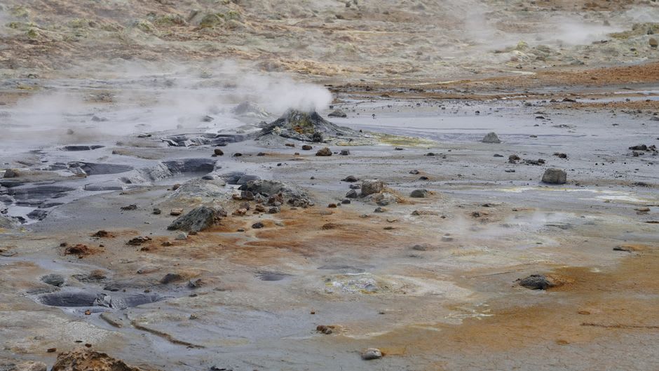 A fumarole venting steam near the shore of Lago de Lázaro, the surrounding ground stained yellow and orange with sulfur deposits, dense pine forest behind