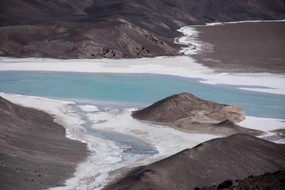 A grey heron standing motionless at the edge of Agua Blanca lagoon, surrounded by lily pads and overhanging rainforest