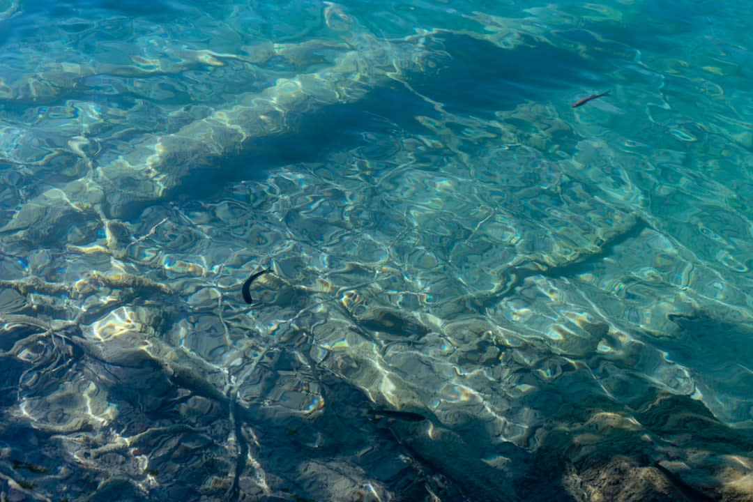Turquoise water over a shallow coral reef, visible from the shoreline near Mahahual