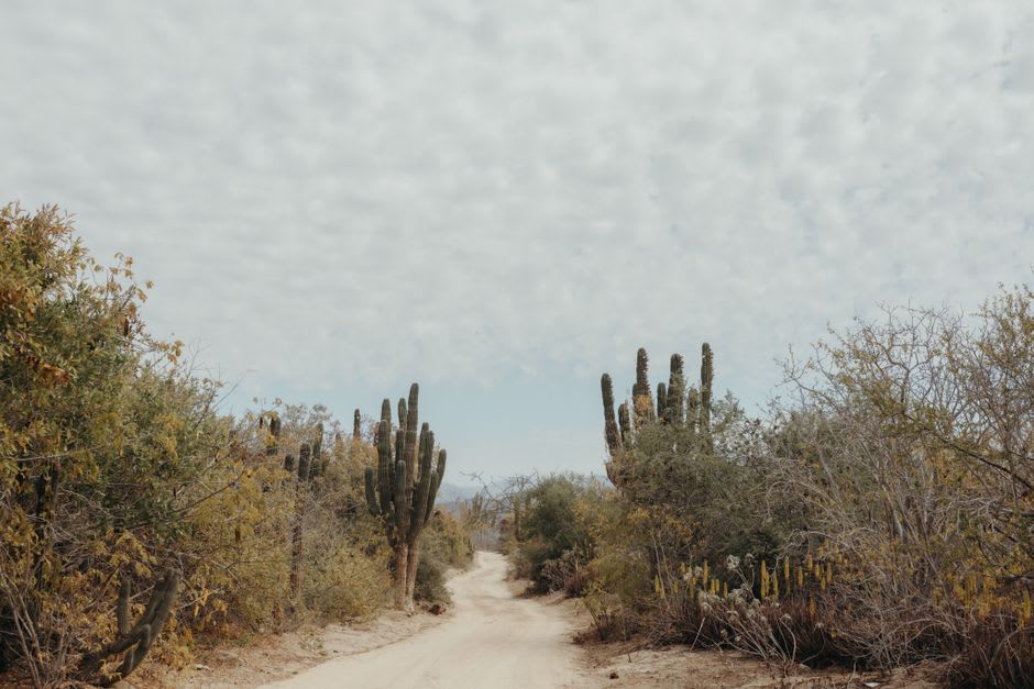 Roofless stone walls and desert scrub at the ghost town of Ojuela, Mapimí