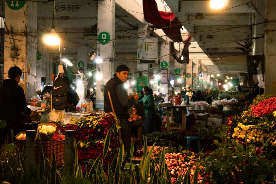 A stall in Mercado Jamaica's herb section with dried bundles of epazote, copal, and medicinal plants hanging from wooden beams