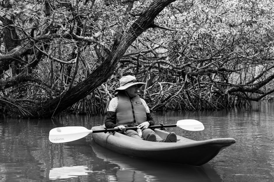 A kayak entering a narrow mangrove tunnel at Laguna La Palma near Misantla, Veracruz