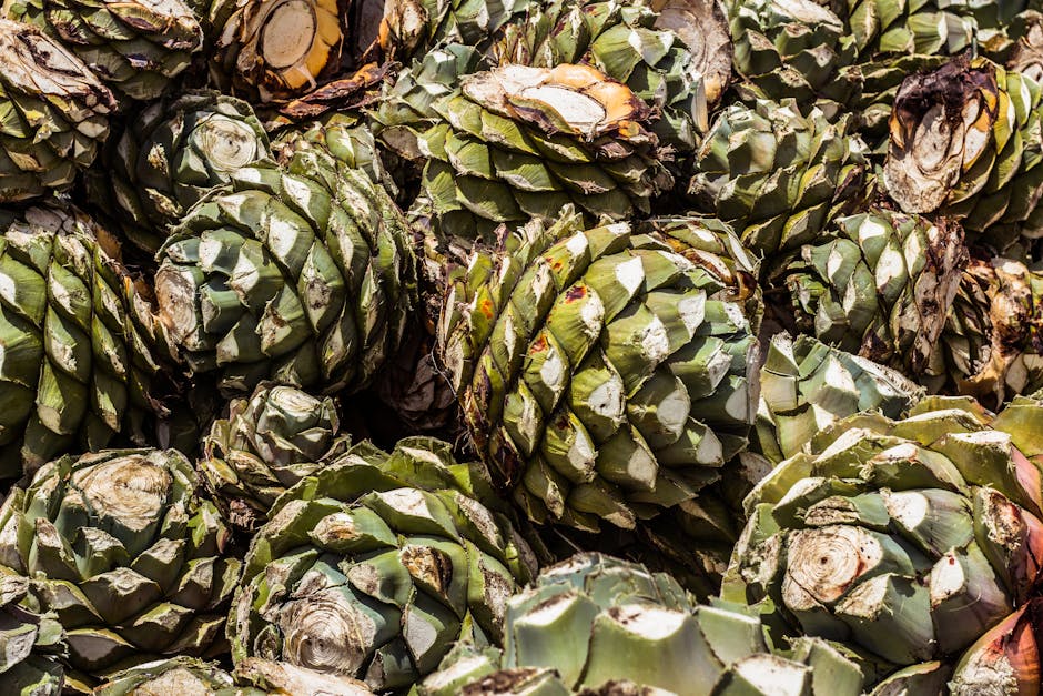 Colourful market stalls and traditional crafts in Oaxaca