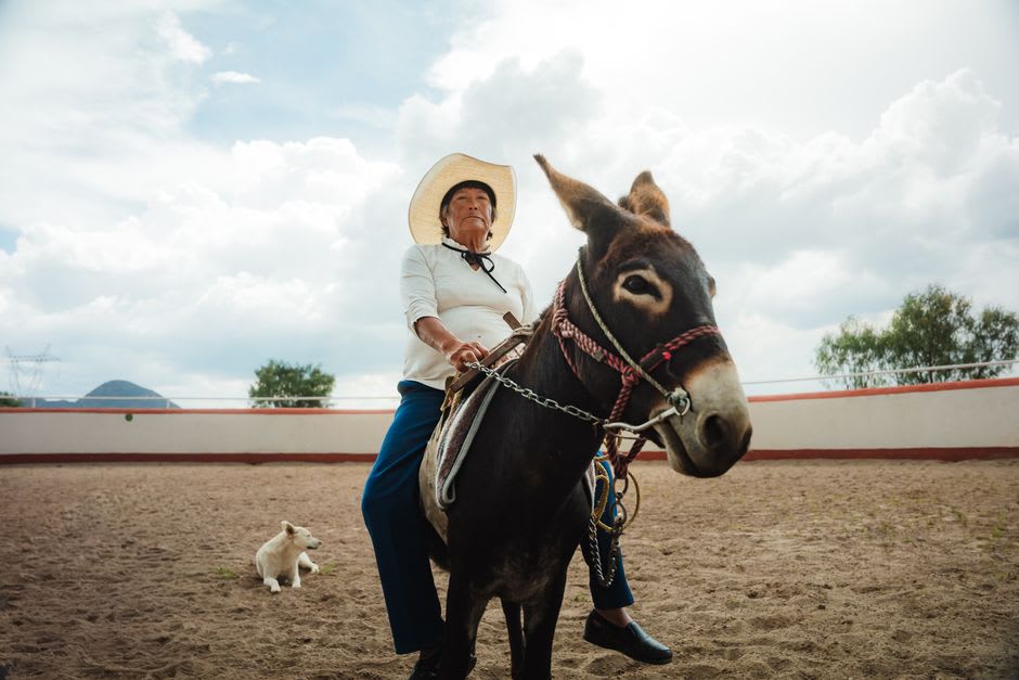 A donkey standing in the dusty streets of Otumba near the weathered stone of the Franciscan church, the historic maguey-plains town under a big dry sky