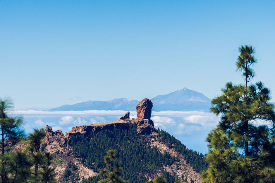 A balanced volcanic boulder resting on a narrow pedestal in a Mexiquillo forest clearing, low cloud visible above the treeline