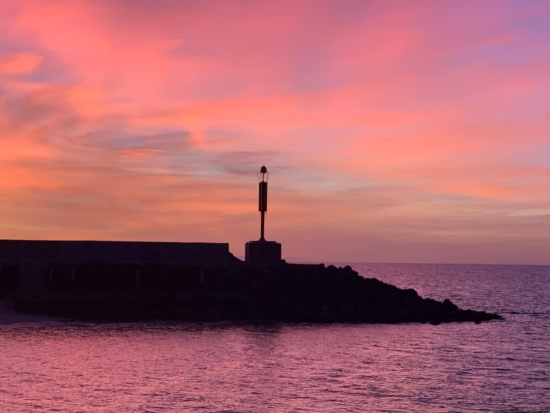 A whale shark visible just beneath the surface in the shallow turquoise waters of the Gulf of California