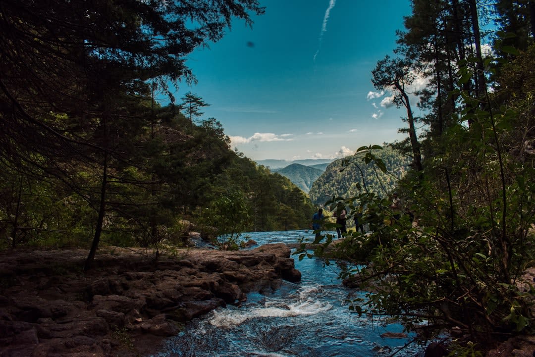 The Espinazo del Diablo mountain road running along a narrow ridge in the Sierra Madre Occidental, pine-filled canyons dropping away on both sides