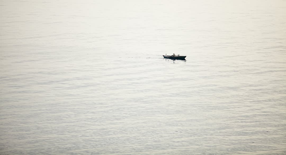 A gray whale calf approaching a panga in San Ignacio Lagoon, its barnacle-covered head and eye visible at water level beside the boat, the shallow turquoise water of the lagoon around it, Baja desert shore behind