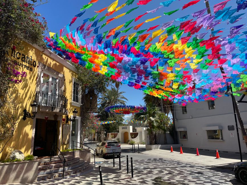 The San José del Cabo Art Walk on a Thursday evening, pedestrians moving between lit gallery storefronts on a colonial street, a painter's canvas visible through an open doorway