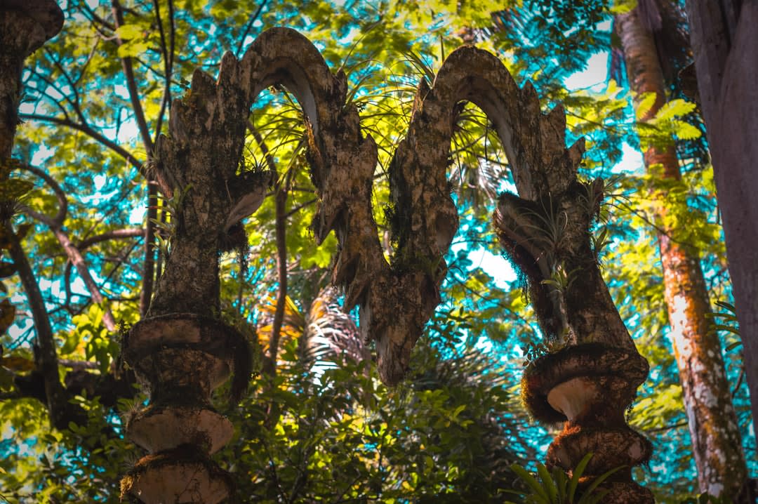 A concrete tower sculpture at Las Pozas, Edward James's surrealist jungle garden near Xilitla, rising from the cloud forest with open arches framing the green canopy beyond