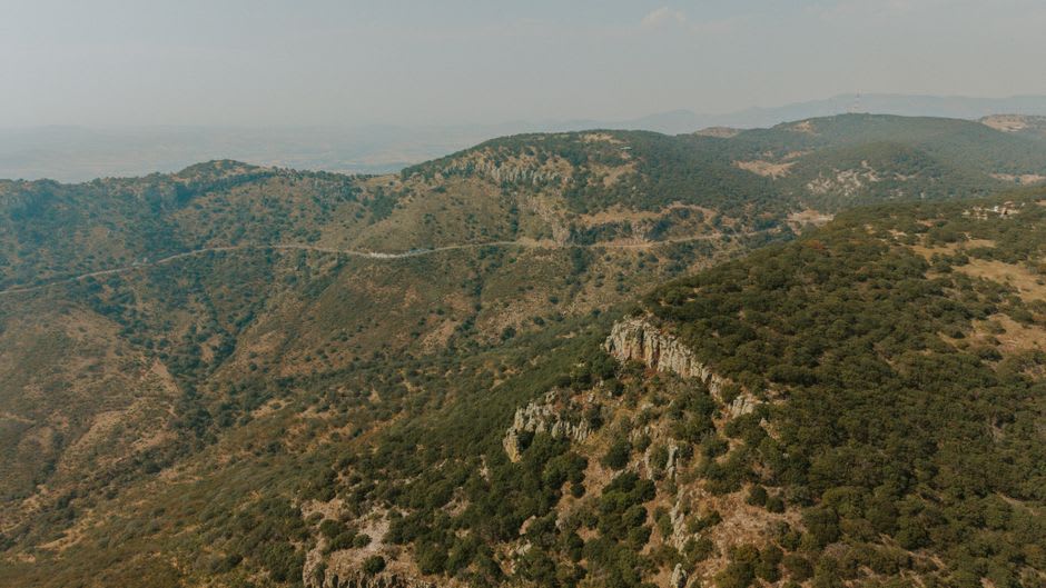 Dry semi-desert hills studded with nopal cactus and thorn scrub around Santa Catarina, northeastern Guanajuato, pale folded ridges under a clear sky