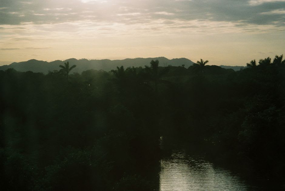 A narrow track running through dense green forest and coffee slopes above Sochiapa, the canopy closing overhead, water and vegetation dripping in the humid dim light