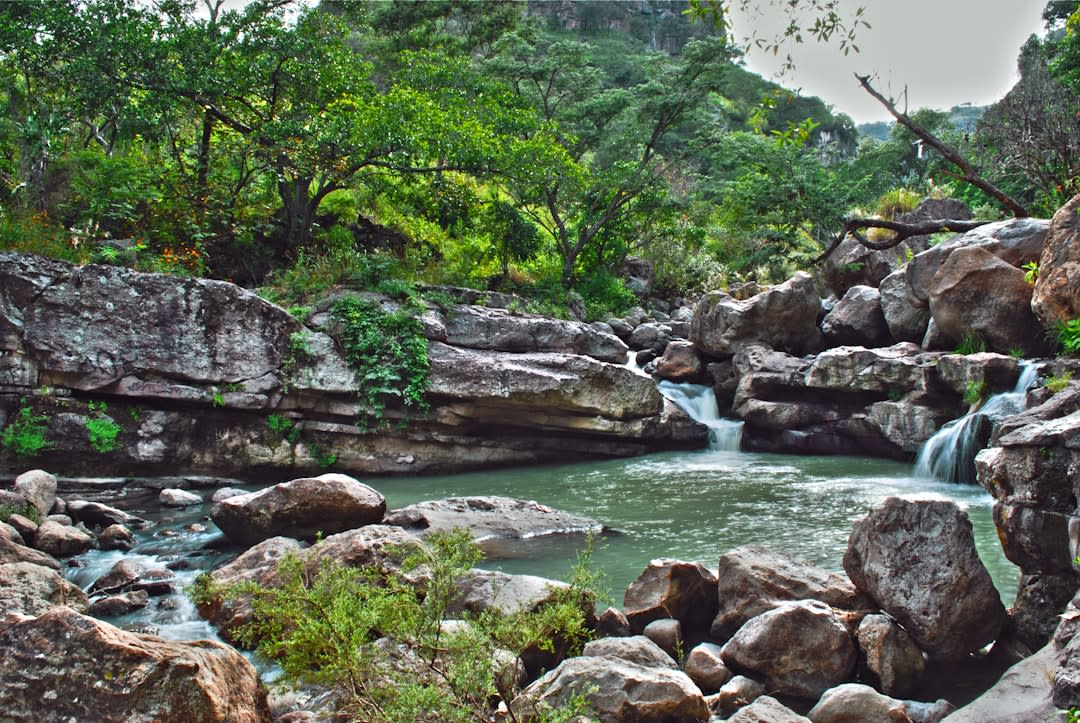 The jardín principal of Tamazula de Gordiano on a quiet Tuesday morning, the parish church visible at the far end