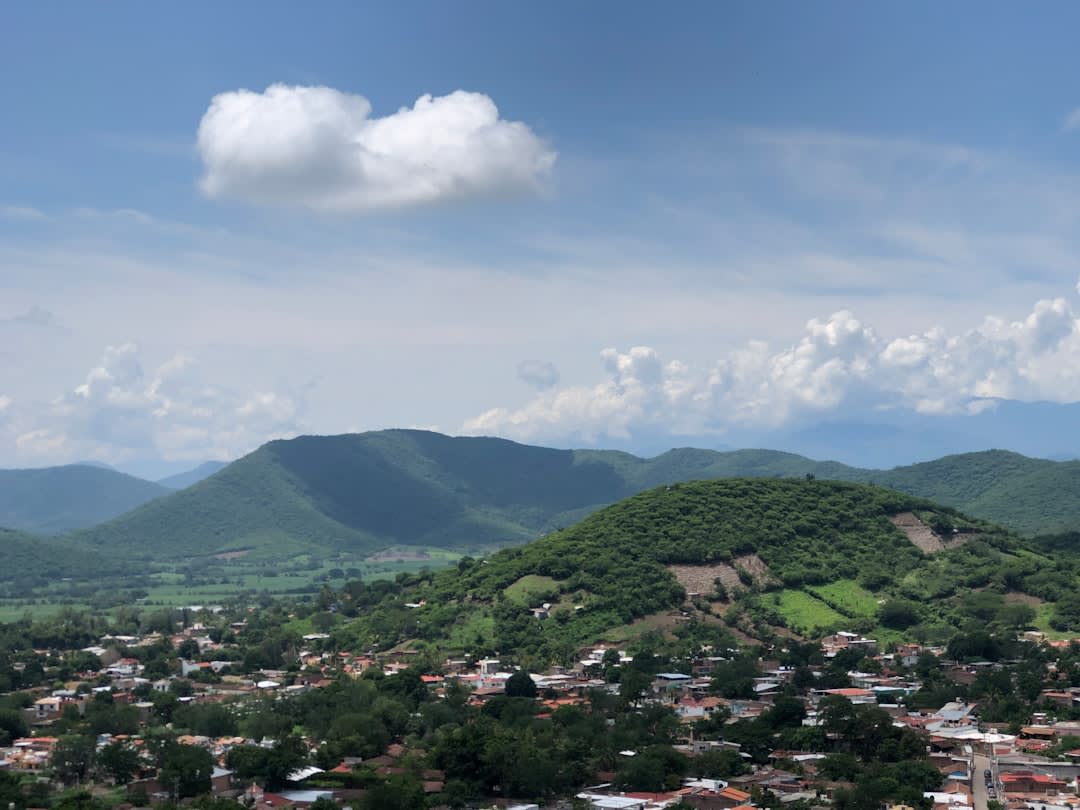 Rows of sugarcane fields below the Sierra del Tigre foothills surrounding the valley of Tamazula de Gordiano
