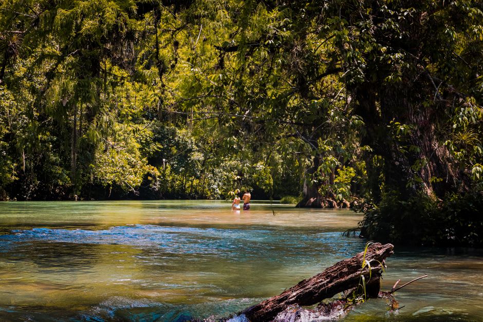 River swimming hole surrounded by mango trees in Tetecala, Morelos