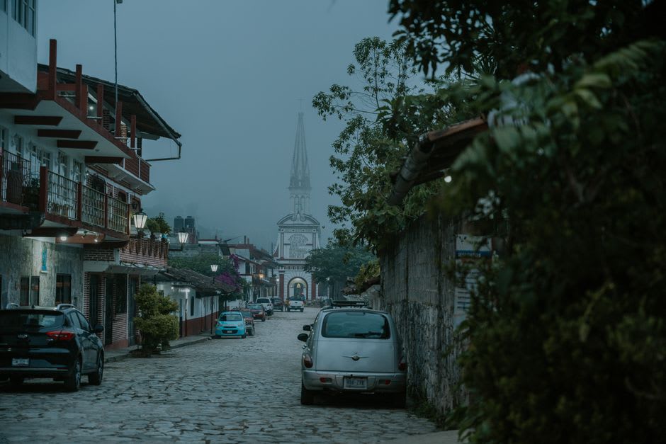 Pine forests on the road toward Ajusco, visible from the upper streets of Tlalpan