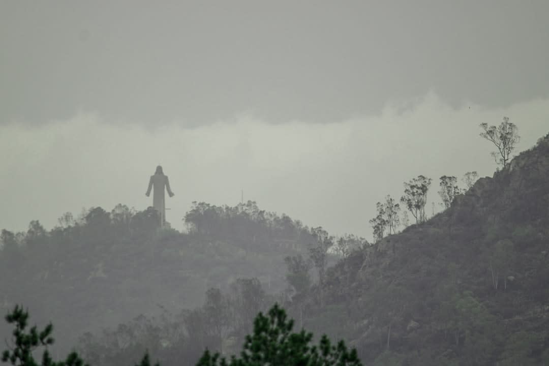 Dense misty cloud forest on the slopes below Tlanchinol at dawn, dripping ferns and epiphyte-covered trees vanishing into fog, the kind of humid green habitat prized by birdwatchers