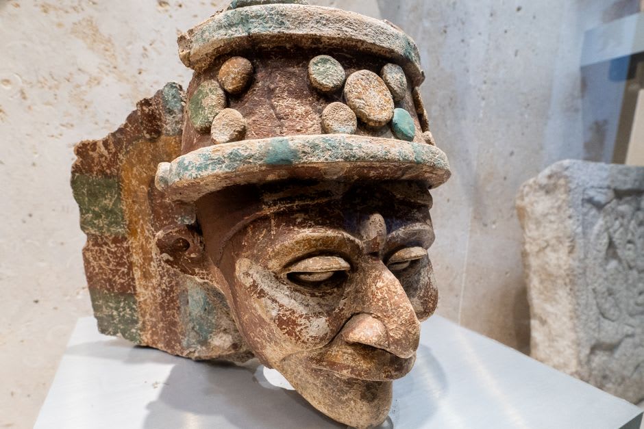 One of the four colossal Olmec heads at the Xalapa Anthropology Museum, its three-thousand-year-old basalt face emerging from the cloud forest garden, the naturalistic portrait of an Olmec ruler perfectly preserved
