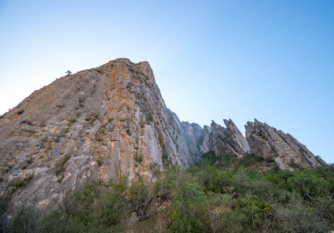 A mirador at the edge of Zacualtipán where the pine forest ends and forested ridgelines descend into the Huasteca, a sea of low cloud filling the valleys below, morning light on the distant mountains
